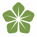 icono decorativo flor brionia verde png